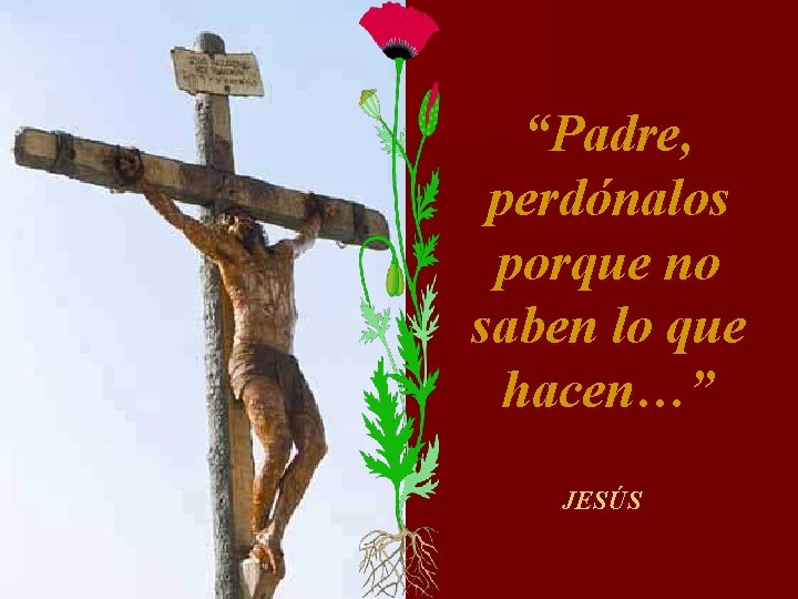 “Padre, perdónalos porque no saben lo que hacen…” JESÚS 