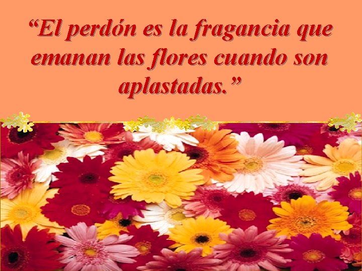 “El perdón es la fragancia que emanan las flores cuando son aplastadas. ” 