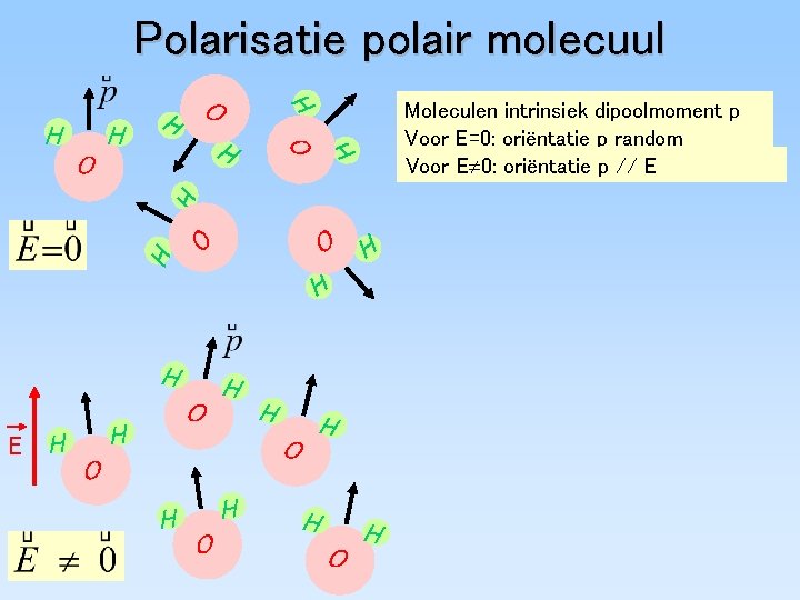 Polarisatie polair molecuul H H O E H O H H H O O