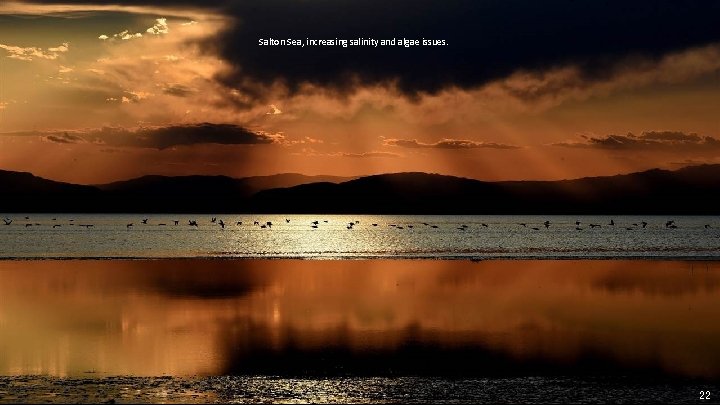 Salton Sea, increasing salinity and algae issues. 22 