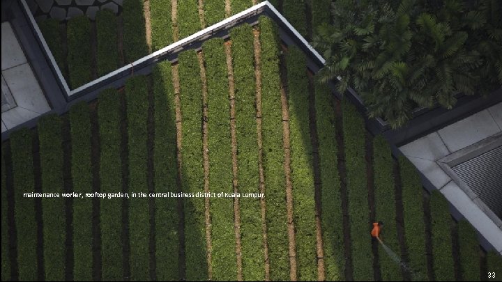 maintenance worker, rooftop garden, in the central business district of Kuala Lumpur. 33 