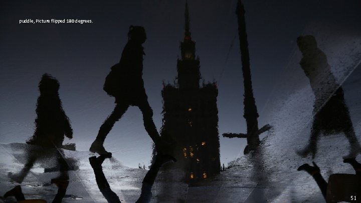 puddle, Picture flipped 180 degrees. 51 