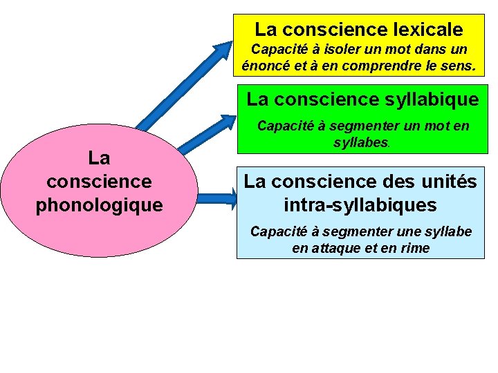 La conscience lexicale Capacité à isoler un mot dans un énoncé et à en