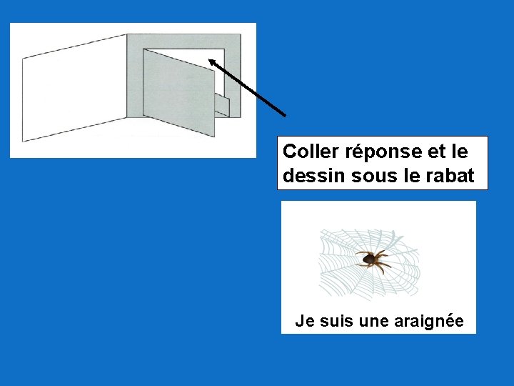 Coller réponse et le dessin sous le rabat Je suis une araignée 