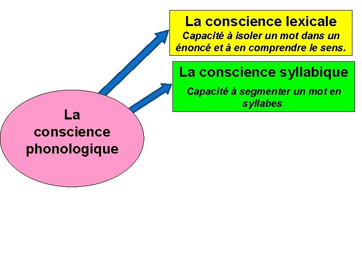 La conscience lexicale Capacité à isoler un mot dans un énoncé et à en