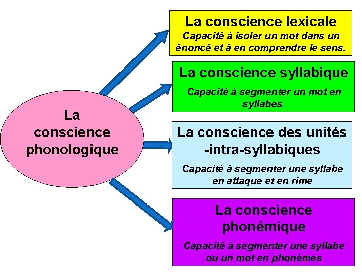 La conscience lexicale Capacité à isoler un mot dans un énoncé et à en