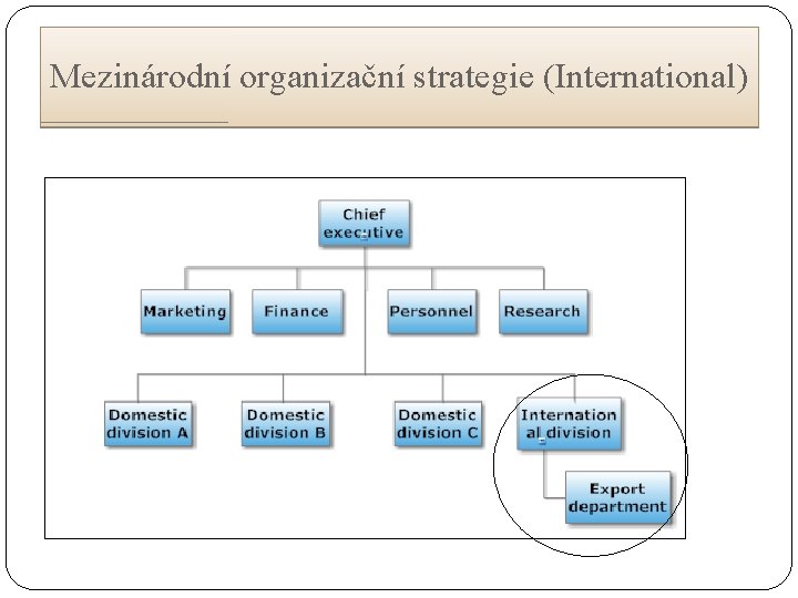 Mezinárodní organizační strategie (International) 