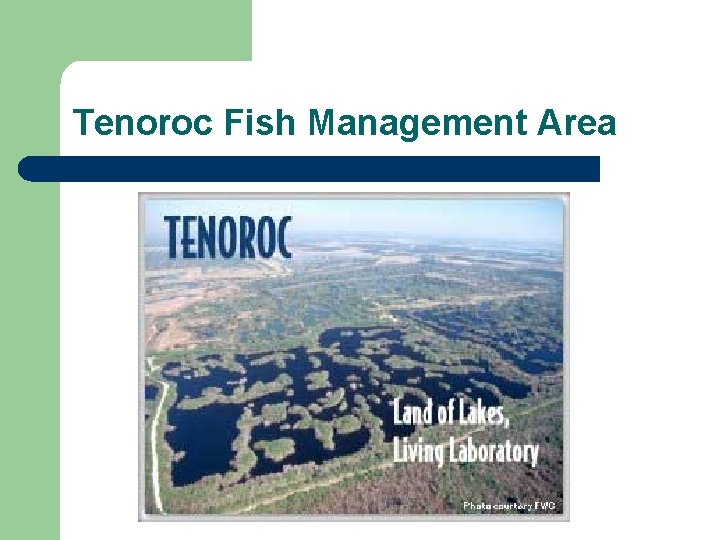 Tenoroc Fish Management Area 