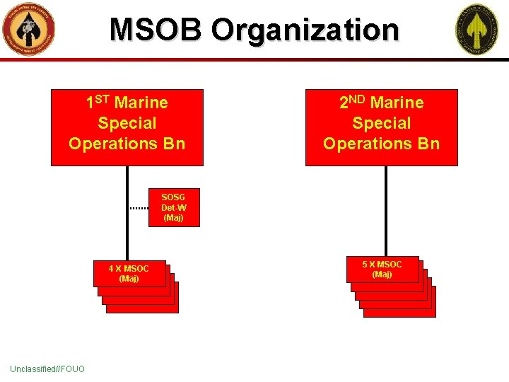 MSOB Organization 1 ST Marine Special Operations Bn 2 ND Marine Special Operations Bn