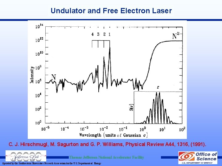 Undulator and Free Electron Laser C. J. Hirschmugl, M. Sagurton and G. P. Williams,