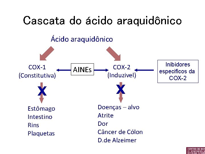 Cascata do ácido araquidônico Ácido araquidônico COX-1 (Constitutiva) AINEs COX-2 (Induzivel) X X Estômago