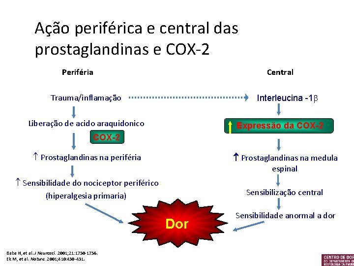 Ação periférica e central das prostaglandinas e COX-2 Periféria Central Trauma/inflamação Interleucina -1 b