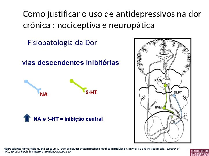 Como justificar o uso de antidepressivos na dor crônica : nociceptiva e neuropática -