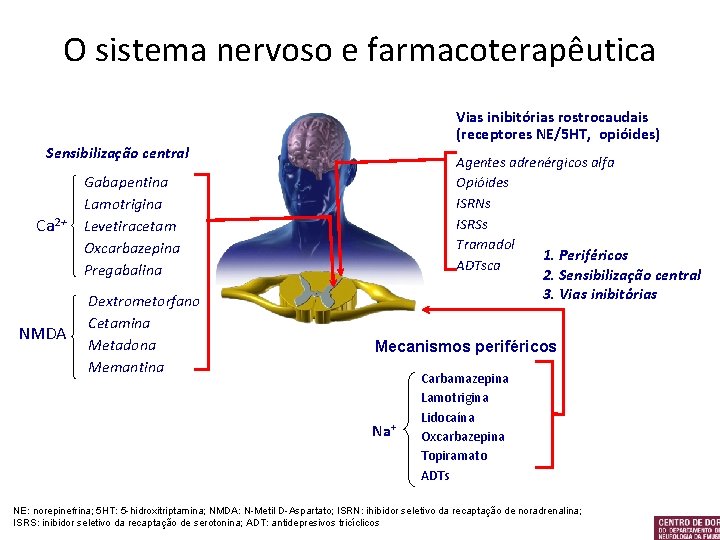 O sistema nervoso e farmacoterapêutica Vias inibitórias rostrocaudais (receptores NE/5 HT, opióides) Sensibilização central