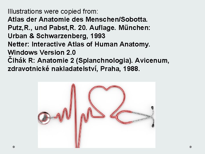 Illustrations were copied from: Atlas der Anatomie des Menschen/Sobotta. Putz, R. , und Pabst, Illustrations were copied from: Atlas der Anatomie des Menschen/Sobotta. Putz, R. , und Pabst,