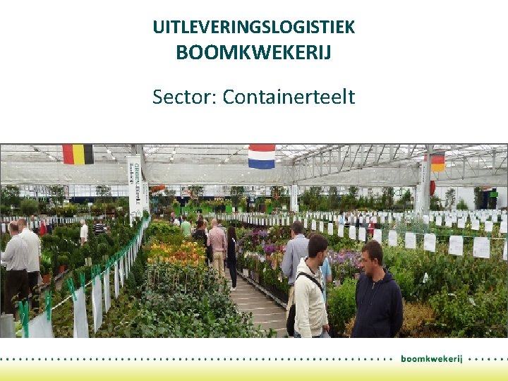 UITLEVERINGSLOGISTIEK BOOMKWEKERIJ Sector: Containerteelt 