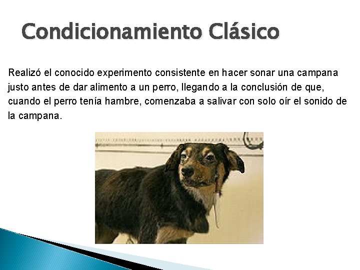 Condicionamiento Clásico Realizó el conocido experimento consistente en hacer sonar una campana justo antes