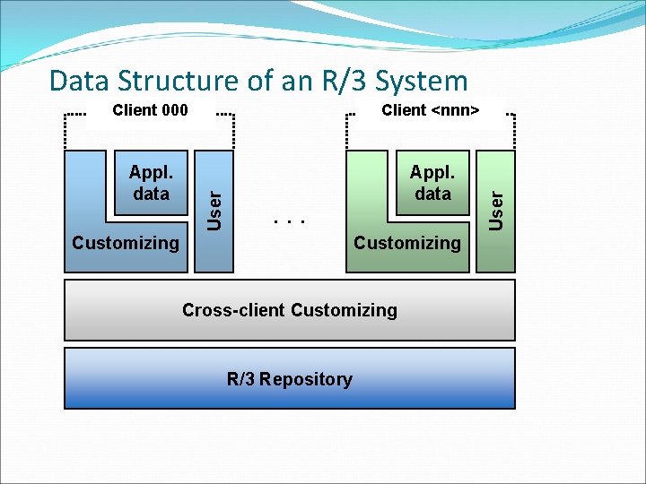 Client <nnn> Appl. data User Client 000 . . . Customizing Cross-client Customizing R/3