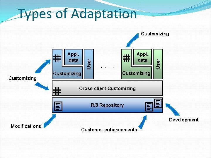 Types of Adaptation Customizing Appl. data. . User Appl. data User Customizing Cross-client Customizing