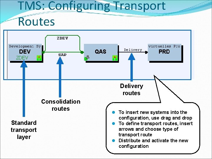 TMS: Configuring Transport Routes Delivery routes Consolidation routes Standard transport layer l To insert