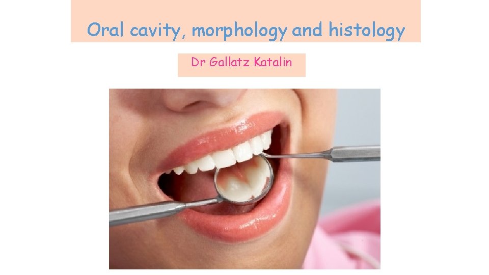 Oral cavity, morphology and histology Dr Gallatz Katalin Oral cavity, morphology and histology Dr Gallatz Katalin