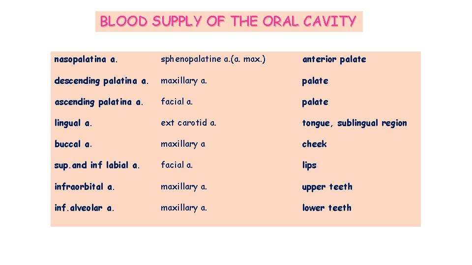 BLOOD SUPPLY OF THE ORAL CAVITY nasopalatina a. sphenopalatine a. (a. max. ) anterior BLOOD SUPPLY OF THE ORAL CAVITY nasopalatina a. sphenopalatine a. (a. max. ) anterior