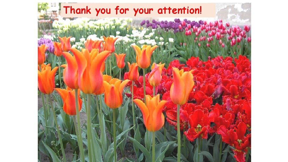 Thank you for your attention! Thank you for your attention!