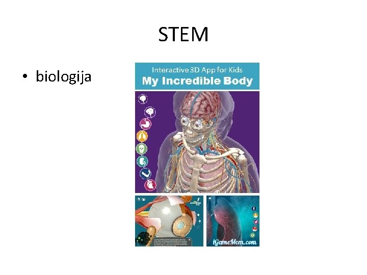 STEM • biologija 