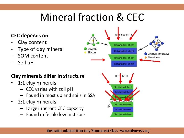 Mineral fraction & CEC depends on - Clay content - Type of clay mineral