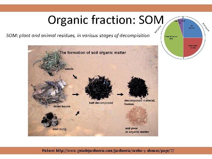 Organic fraction: SOM: plant and animal residues, in various stages of decompisition Picture: http: