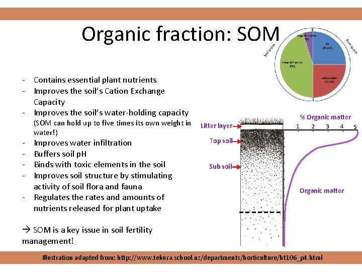 Organic fraction: SOM - Contains essential plant nutrients - Improves the soil’s Cation Exchange