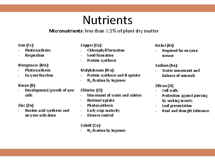 Nutrients Micronutrients: less than 0. 1% of plant dry matter Iron (Fe): - Photosyntheiss