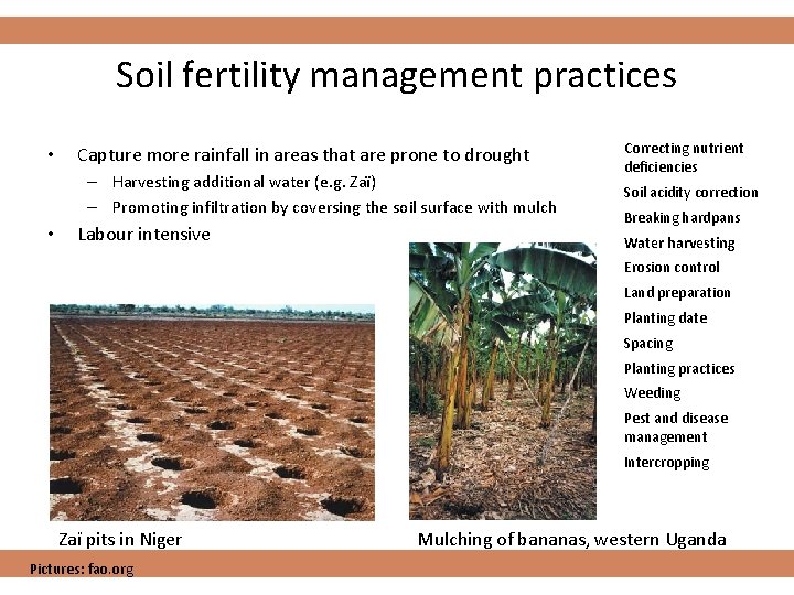 Soil fertility management practices • Capture more rainfall in areas that are prone to