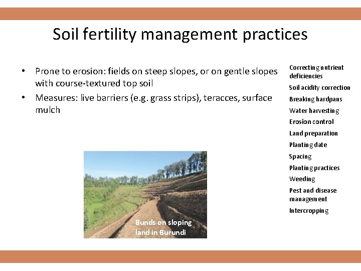 Soil fertility management practices • Prone to erosion: fields on steep slopes, or on