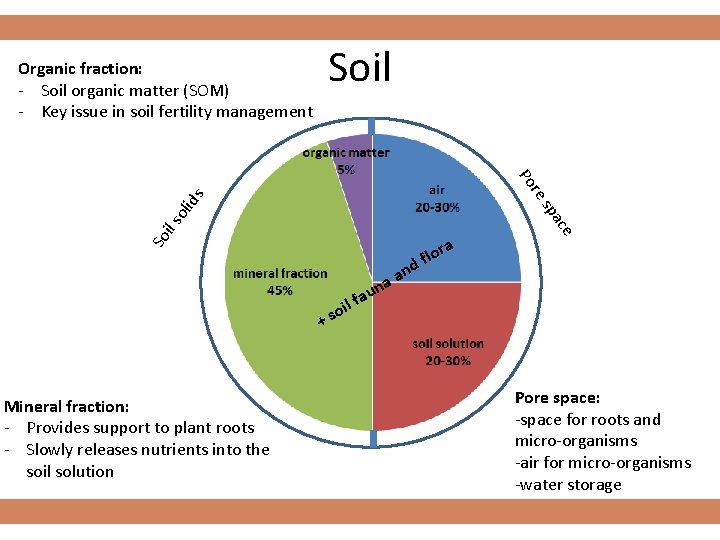 Soil Organic fraction: - Soil organic matter (SOM) - Key issue in soil fertility