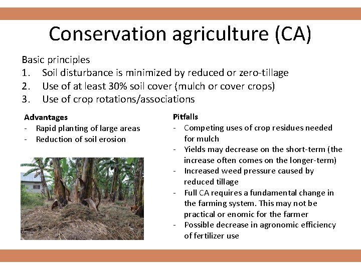 Conservation agriculture (CA) Basic principles 1. Soil disturbance is minimized by reduced or zero-tillage