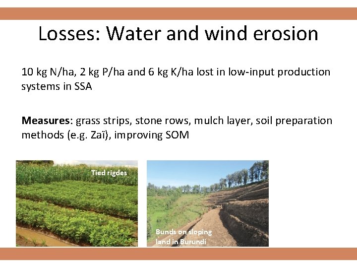 Losses: Water and wind erosion 10 kg N/ha, 2 kg P/ha and 6 kg