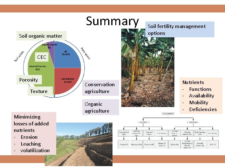 Summary Soil organic matter Soil fertility management options CEC Porosity Texture Mimimizing losses of