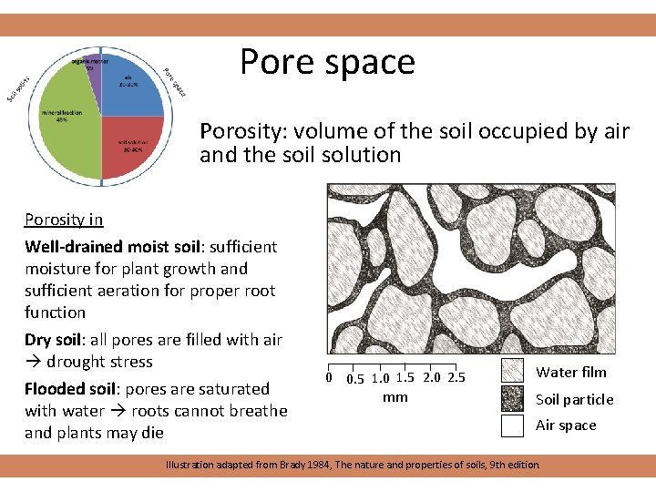 Pore space Porosity: volume of the soil occupied by air and the soil solution