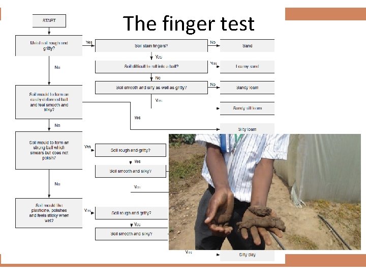 The finger test Mineral fraction 