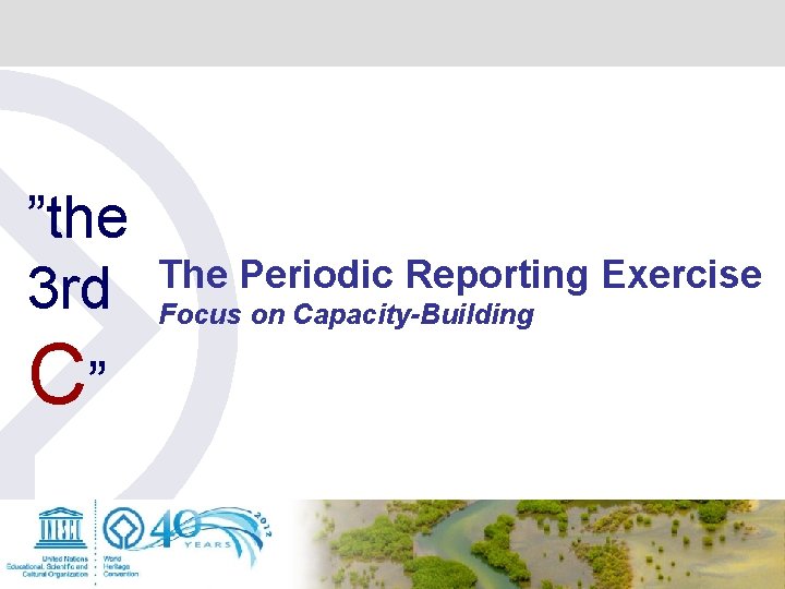 ”the 3 rd C” The Periodic Reporting Exercise Focus on Capacity-Building ”the 3 rd C” The Periodic Reporting Exercise Focus on Capacity-Building