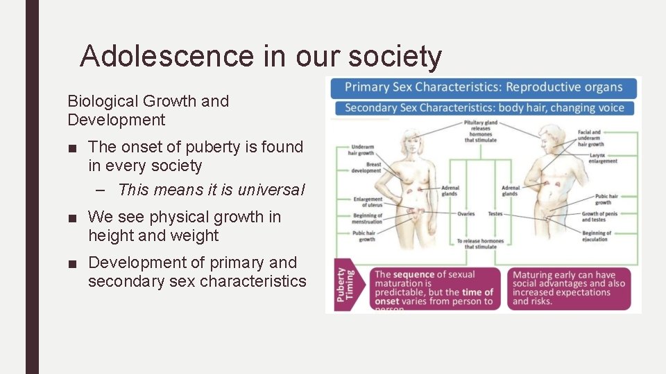 Adolescence in our society Biological Growth and Development ■ The onset of puberty is