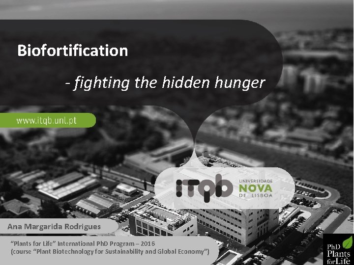 Biofortification - fighting the hidden hunger Ana Margarida Rodrigues “Plants for Life” International Ph.