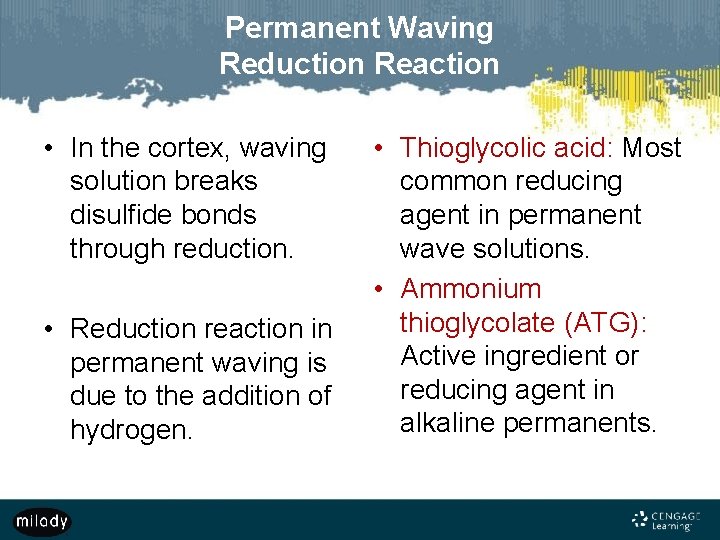 Permanent Waving Reduction Reaction • In the cortex, waving solution breaks disulfide bonds through