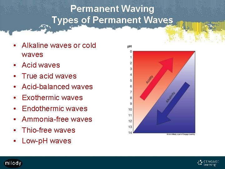 Permanent Waving Types of Permanent Waves • Alkaline waves or cold waves • Acid