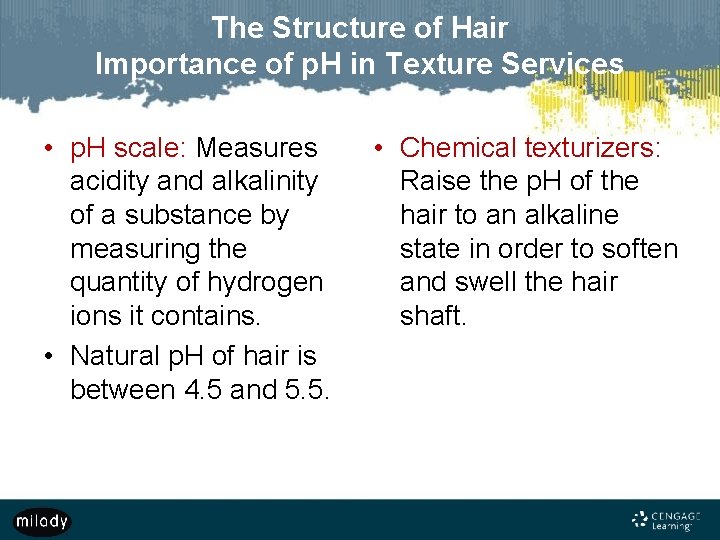 The Structure of Hair Importance of p. H in Texture Services • p. H