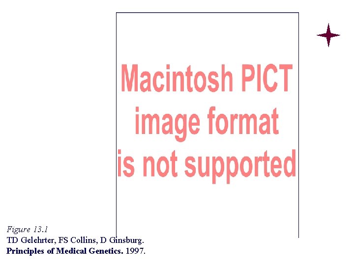 Figure 13. 1 TD Gelehrter, FS Collins, D Ginsburg. Principles of Medical Genetics. 1997. Figure 13. 1 TD Gelehrter, FS Collins, D Ginsburg. Principles of Medical Genetics. 1997.
