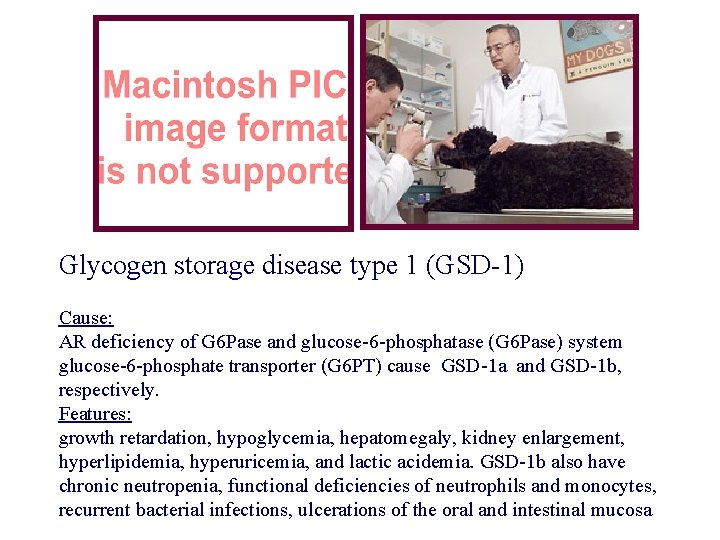 Glycogen storage disease type 1 (GSD-1) Cause: AR deficiency of G 6 Pase and Glycogen storage disease type 1 (GSD-1) Cause: AR deficiency of G 6 Pase and