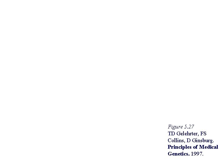 Figure 5. 27 TD Gelehrter, FS Collins, D Ginsburg. Principles of Medical Genetics. 1997. Figure 5. 27 TD Gelehrter, FS Collins, D Ginsburg. Principles of Medical Genetics. 1997.