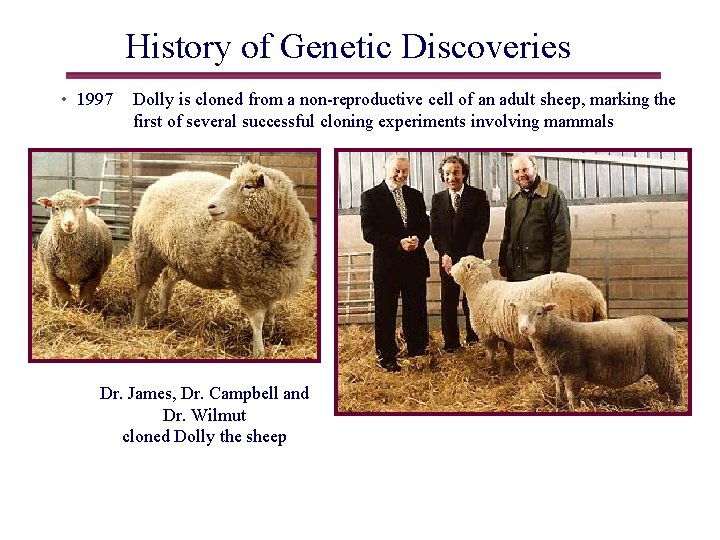 History of Genetic Discoveries • 1997 Dolly is cloned from a non-reproductive cell of History of Genetic Discoveries • 1997 Dolly is cloned from a non-reproductive cell of